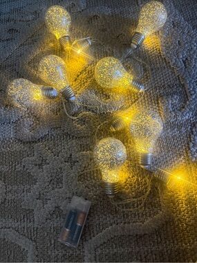 Warm White Crackle Bulb String Lights AA battery operated